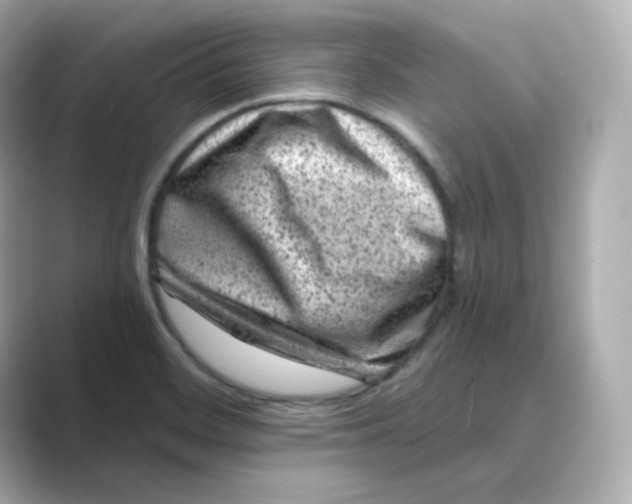 X0000088731468200706212030
