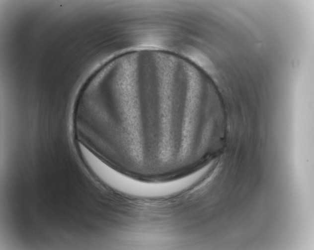 X0000088731469200706212030