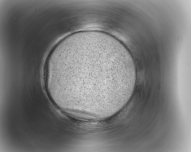 X0000088731470200706212030