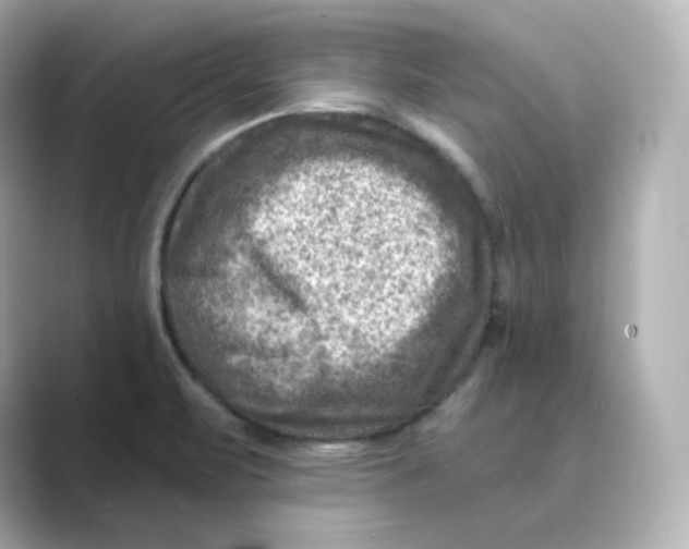 X0000088731471200706212030