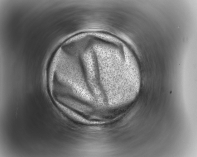 X0000088731472200706212030