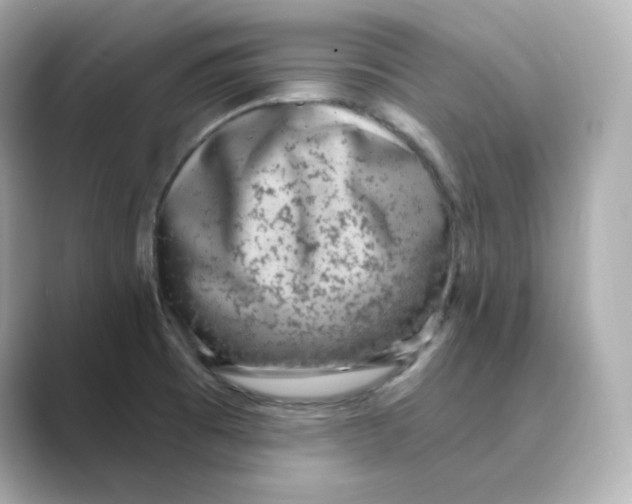X0000088731473200706212030