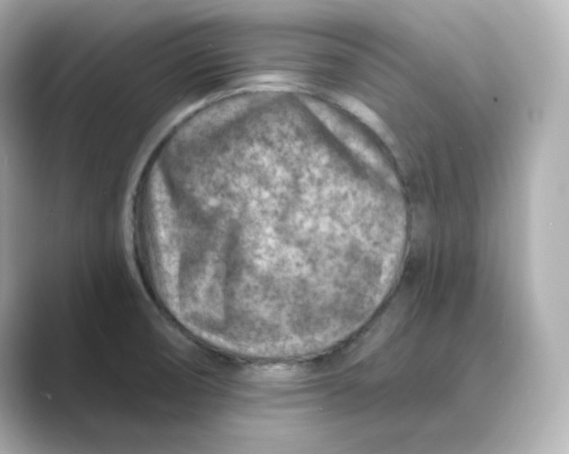 X0000088731474200706212030
