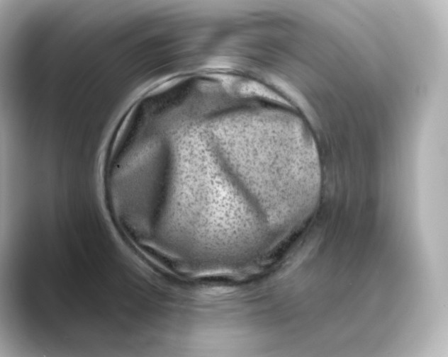 X0000088731475200706212030