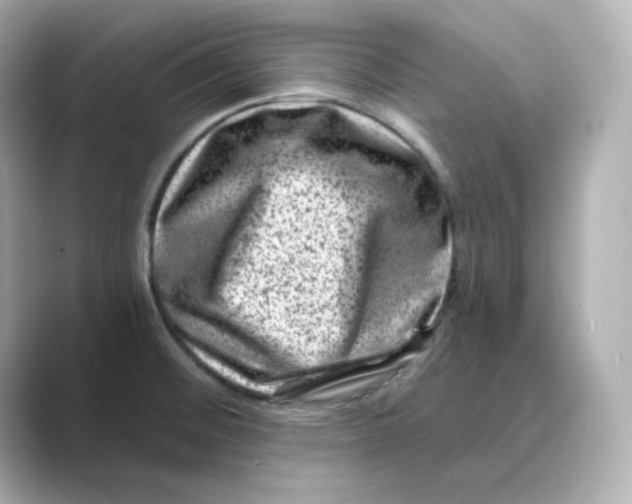 X0000088731476200706212030