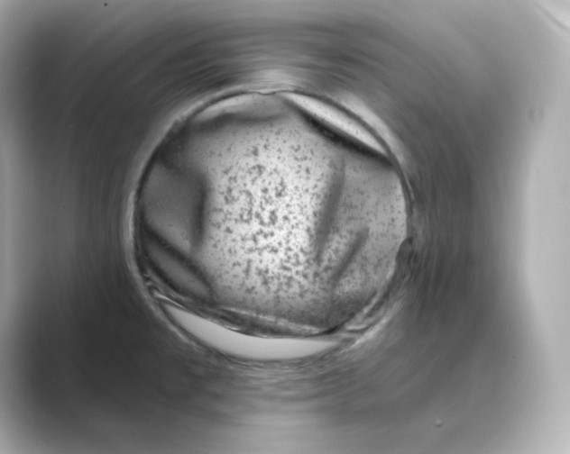 X0000088731477200706212030