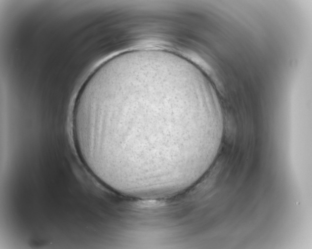 X0000088731478200706212030