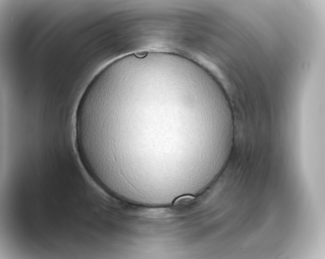 X0000088731479200706212030