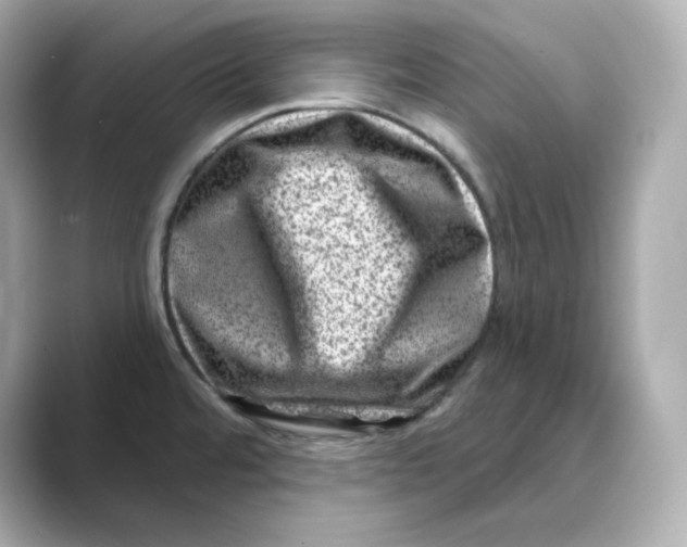X0000088731480200706212030