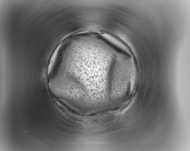 X0000088731481200706212030