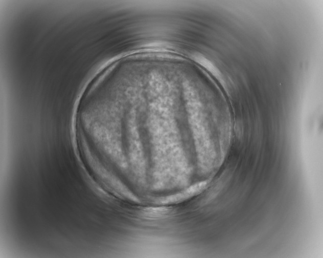 X0000088731482200706212030
