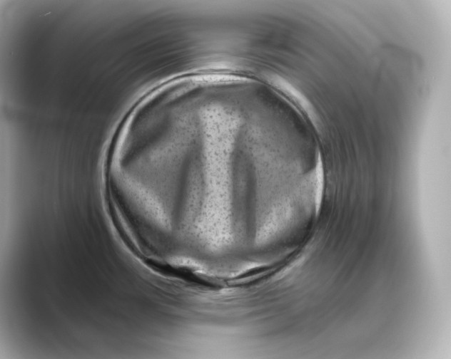X0000088731483200706212030