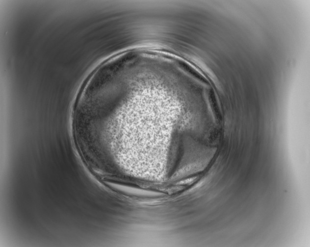 X0000088731484200706212030
