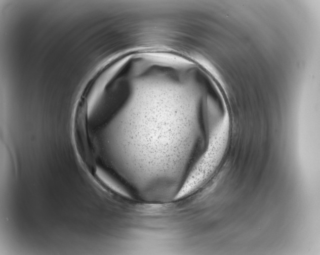X0000088731485200706212030