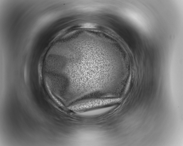 X0000088731487200706212030