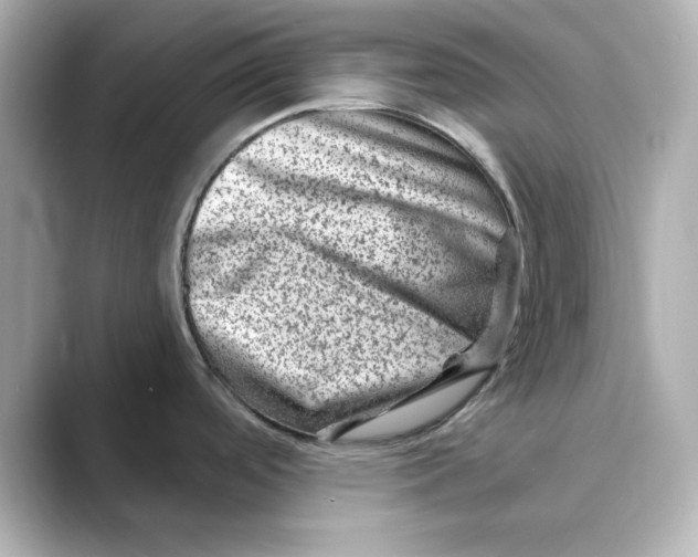 X0000088731488200706212030