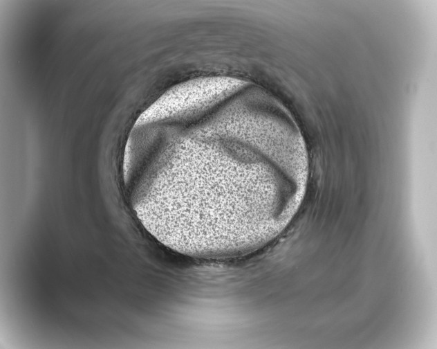 X0000088731489200706212029