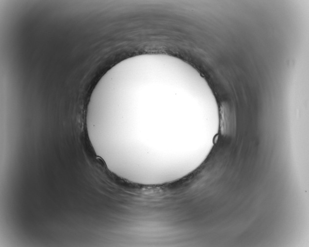X0000088731491200706212029