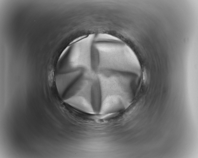 X0000088731492200706212029
