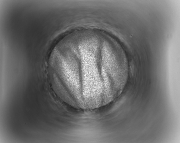 X0000088731494200706212029