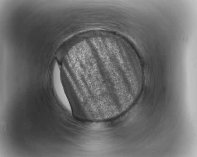 X0000088731497200706212029