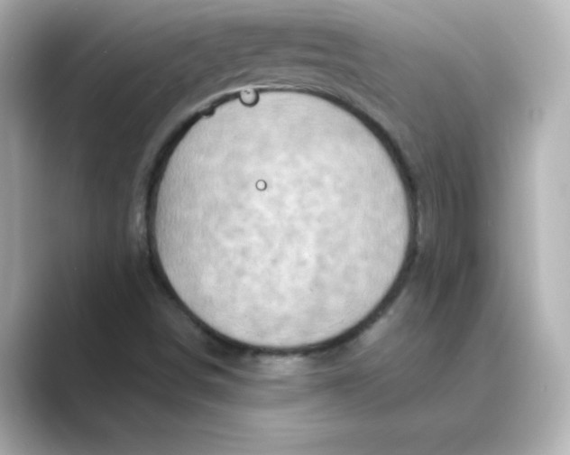 X0000088731498200706212029