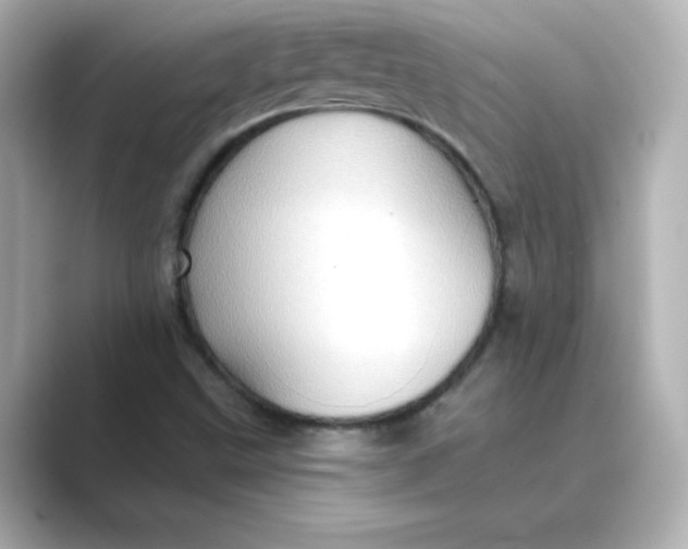 X0000088731499200706212029