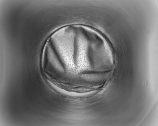 X0000088731500200706212029