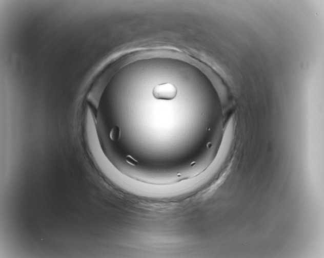 X0000088731502200706212029