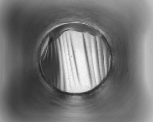 X0000088731503200706212029
