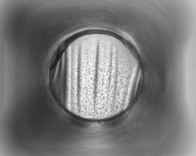 X0000088731504200706212029