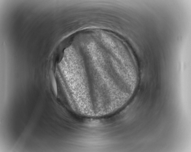 X0000088731505200706212029