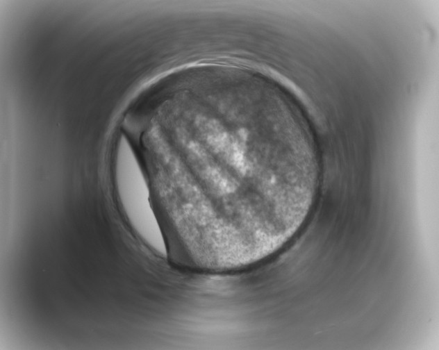 X0000088731506200706212029