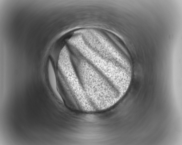 X0000088731507200706212029