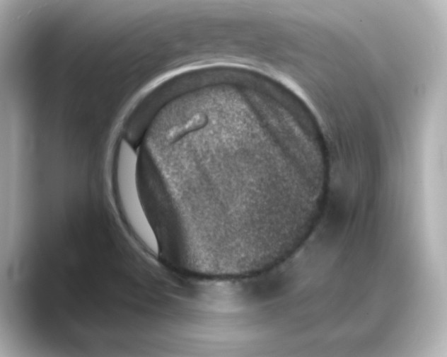 X0000088731508200706212029