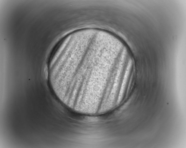 X0000088731509200706212029