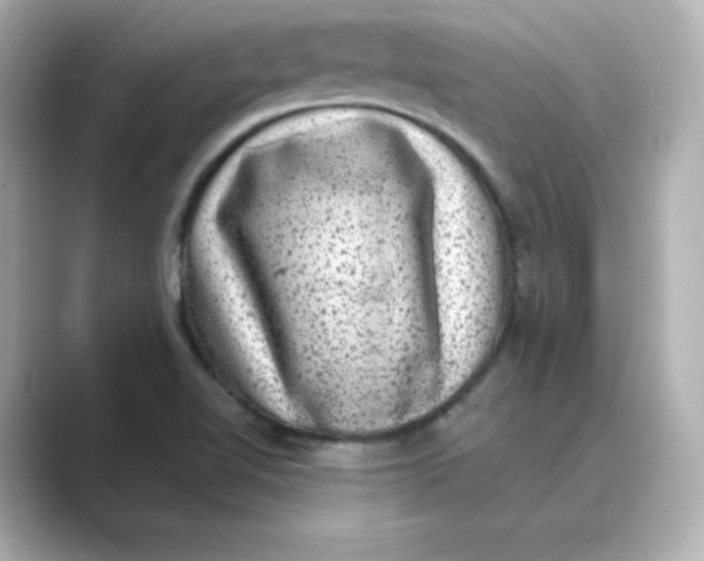 X0000088731510200706212029