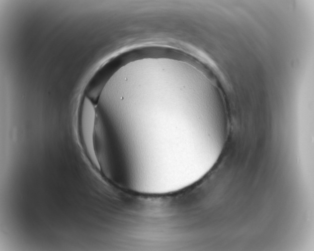 X0000088731512200706212030