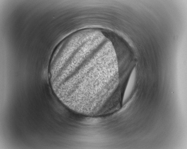 X0000088731513200706212030