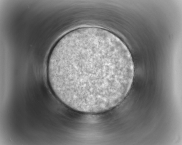 X0000088731514200706212030
