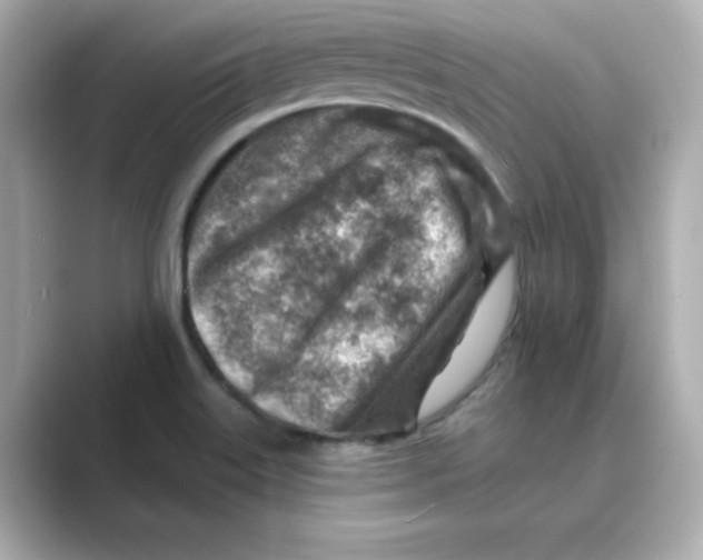 X0000088731515200706212030