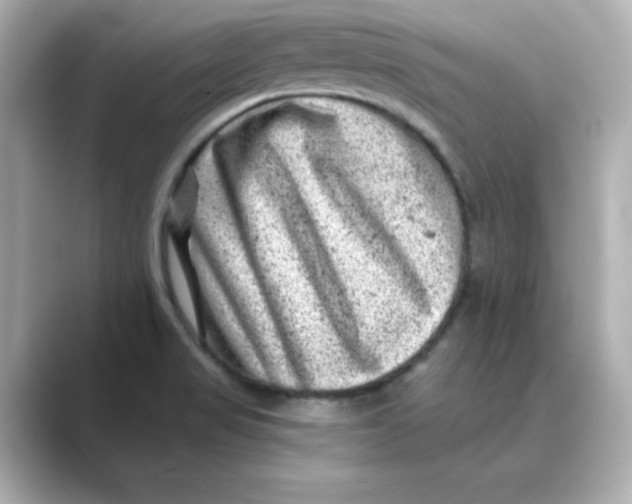 X0000088731517200706212030