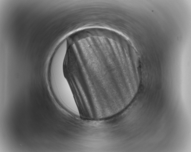 X0000088731519200706212030