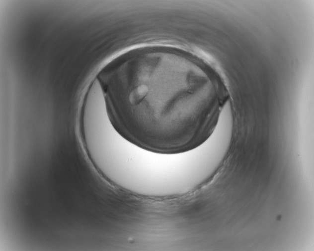 X0000088731520200706212030
