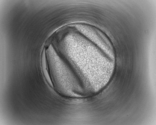 X0000088731521200706212030