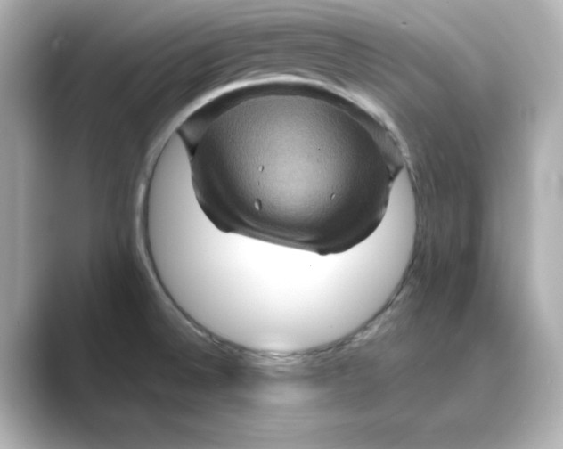 X0000088731524200706212030