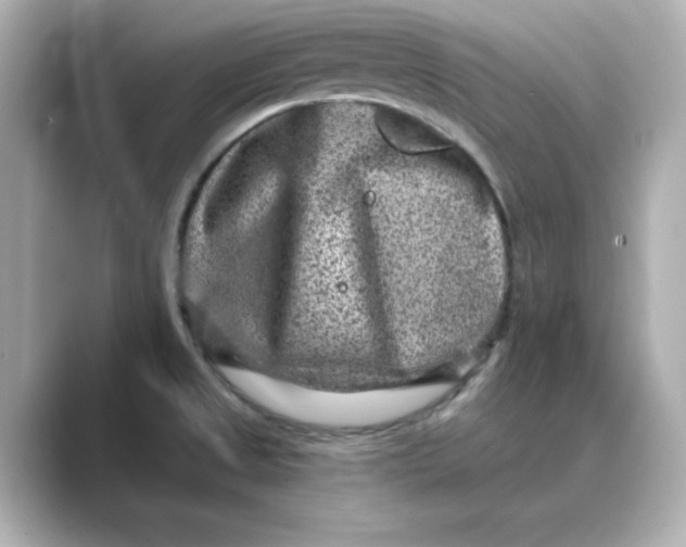 X0000088731525200706212030