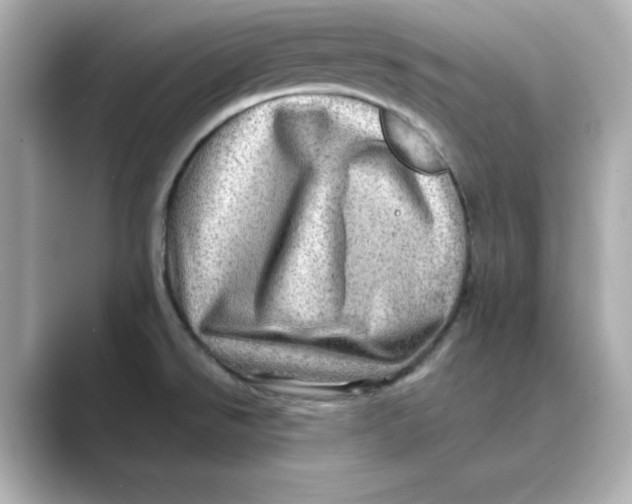 X0000088731526200706212030