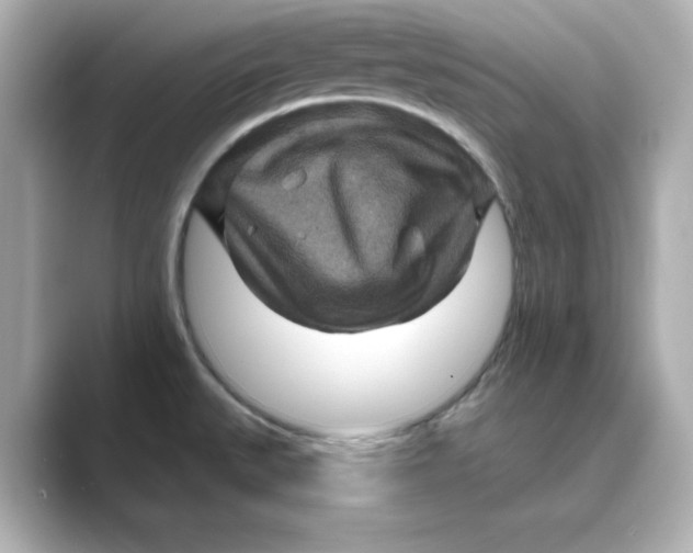 X0000088731527200706212030