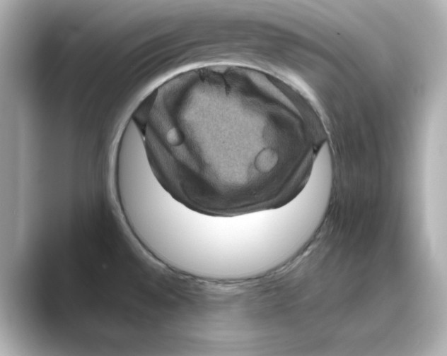 X0000088731528200706212030